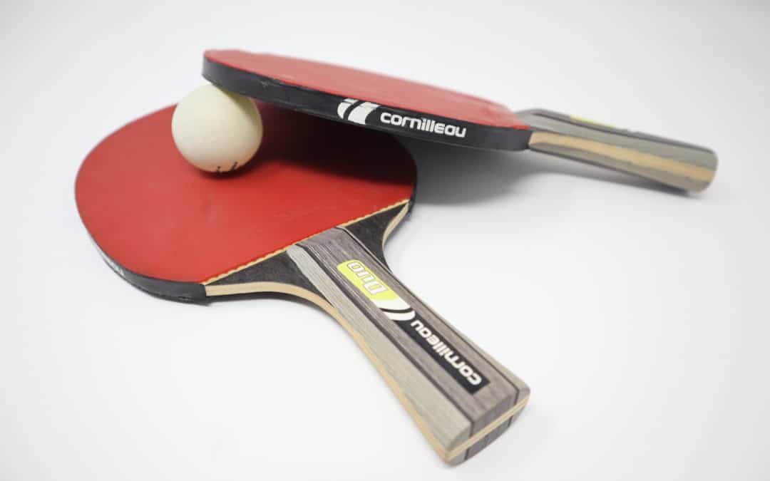 La Mouette Tennis de table