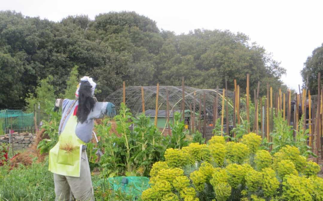 Jardin partagé et pédagogique de Cramphore