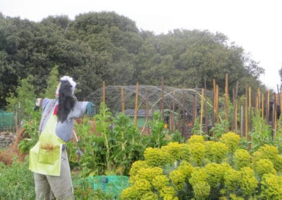 Jardin partagé et pédagogique de Cramphore