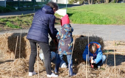 Et la forêt de Balleronde est née !