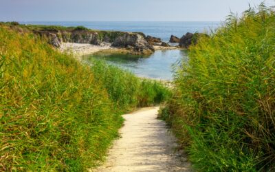 Côte sauvage : travaux de restauration