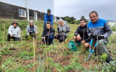 Forêt de Balleronde : ateliers participatifs